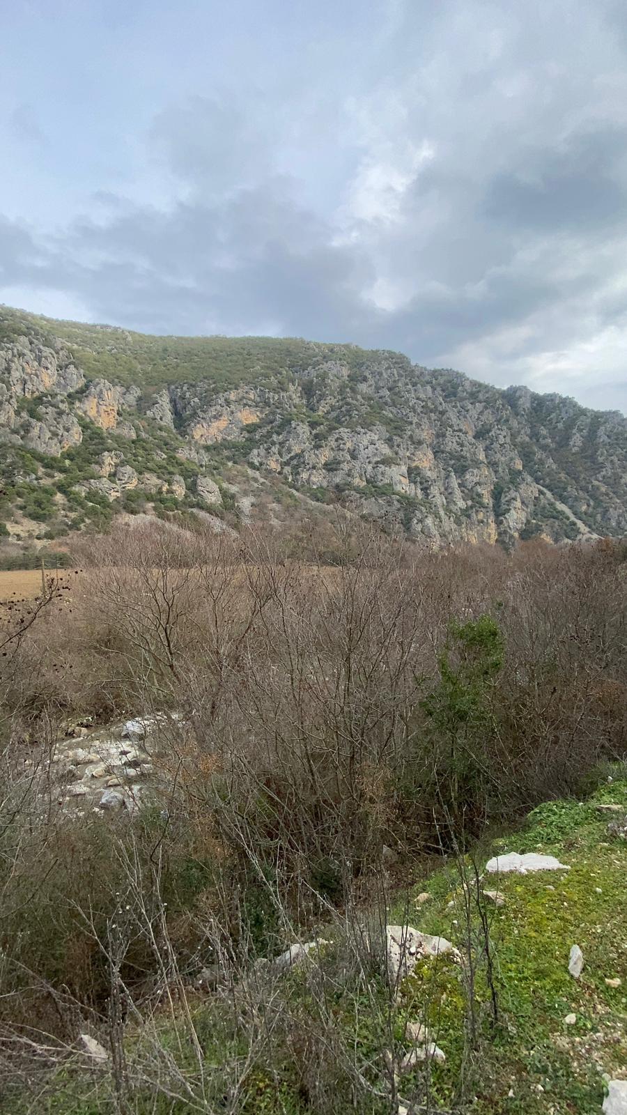 MABEL'DEN FIRSAT YATIRIMLIK DEV ARAZİ